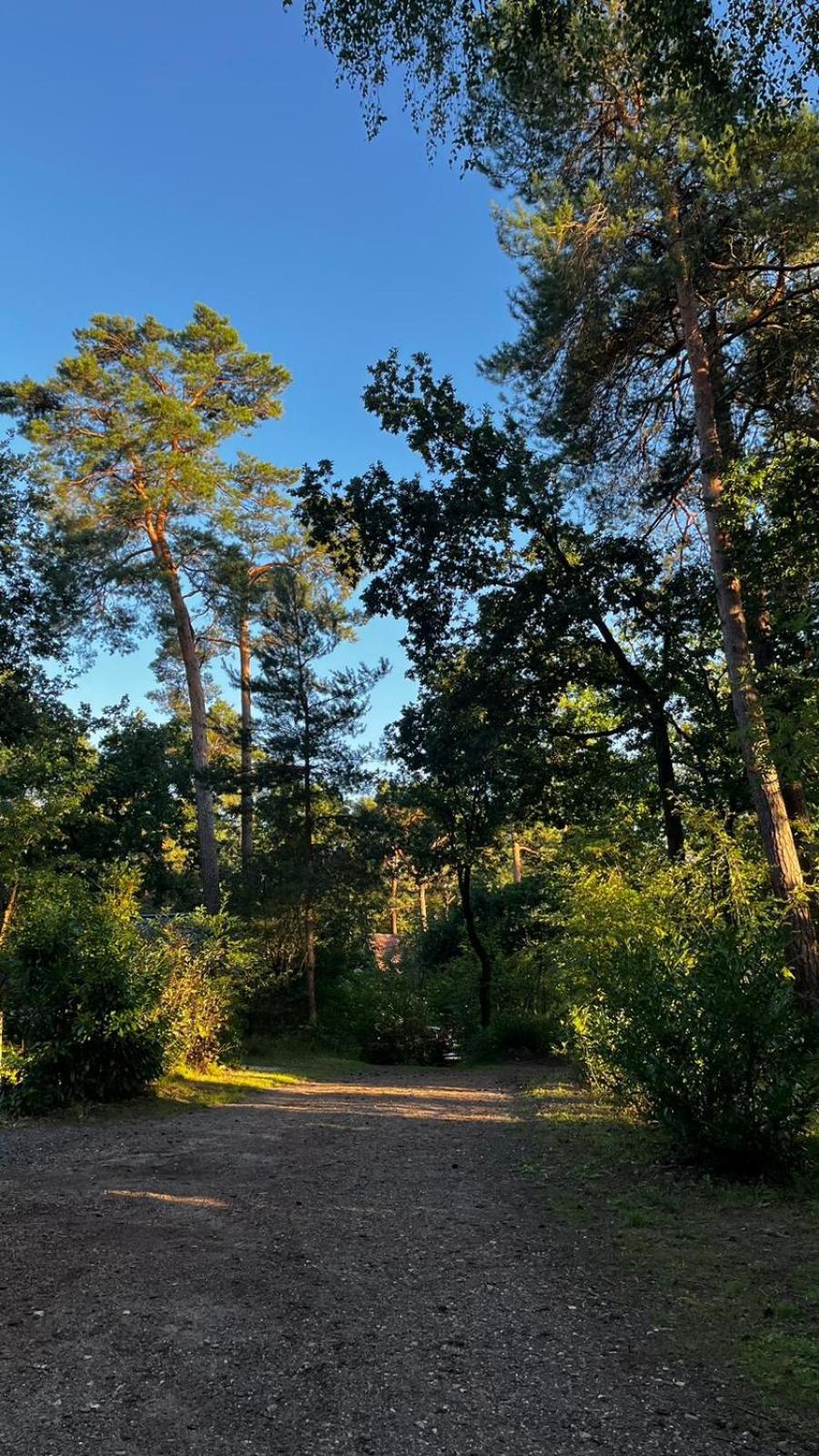 Vakantiehuis Vliegend Hert Veluwe Nunspeet Buitenkant foto