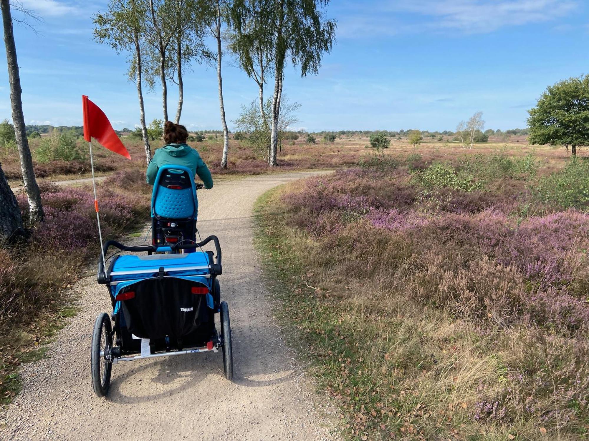 Vakantiehuis Vliegend Hert Veluwe Nunspeet Buitenkant foto