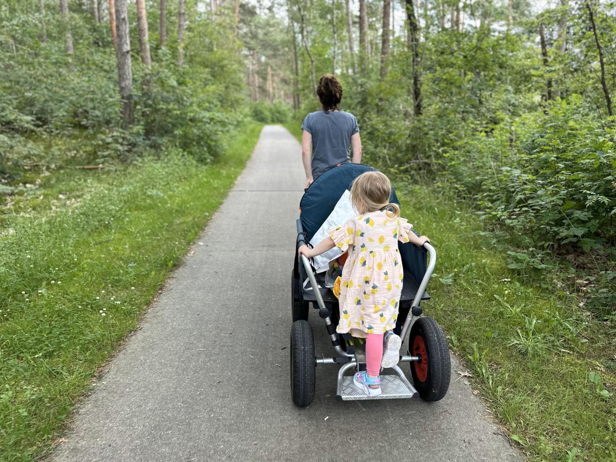 Vakantiehuis Vliegend Hert Veluwe Nunspeet Buitenkant foto